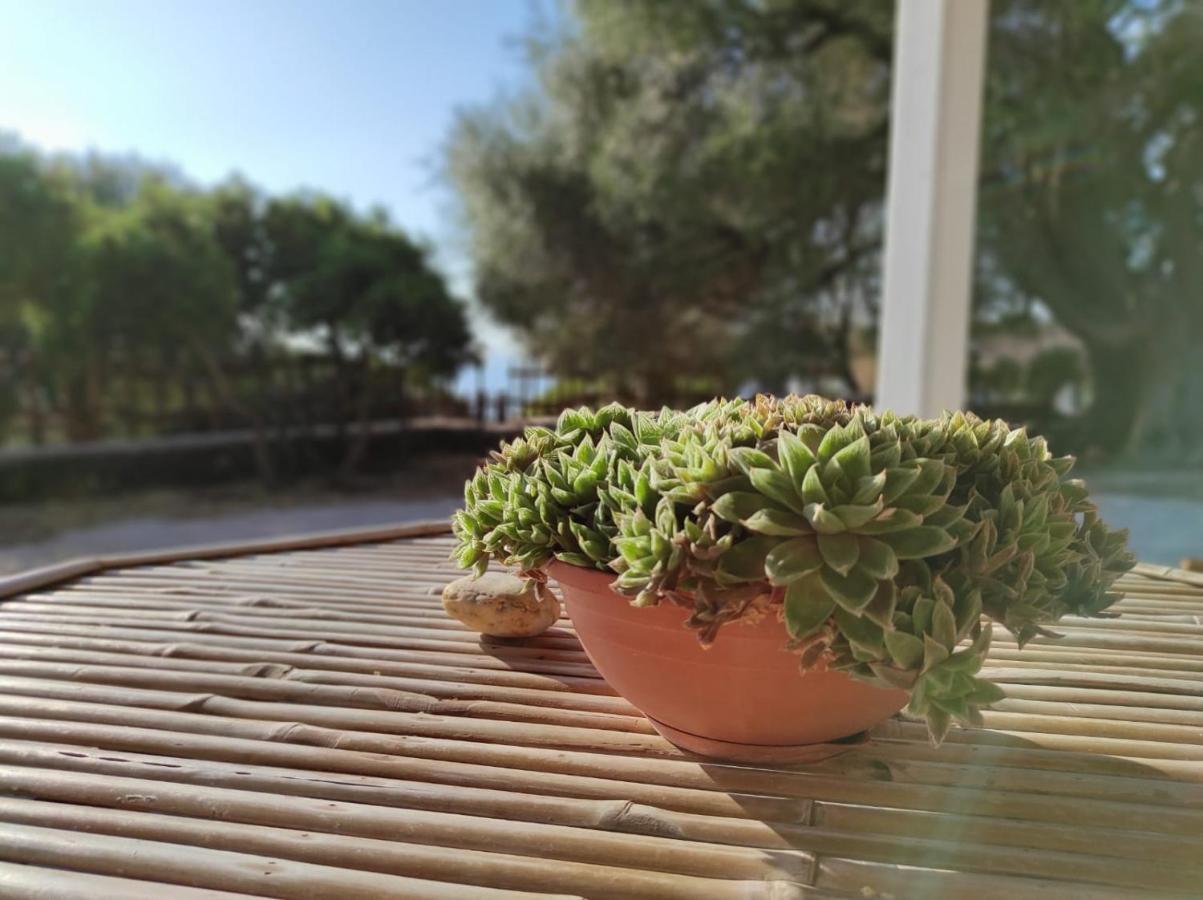 ドルガーリ Casa Olivastraヴィラ エクステリア 写真