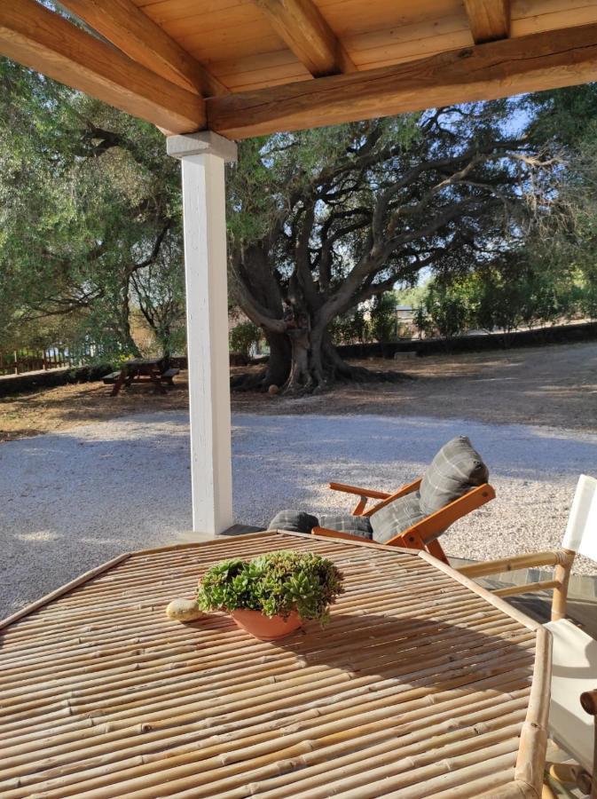 ドルガーリ Casa Olivastraヴィラ エクステリア 写真
